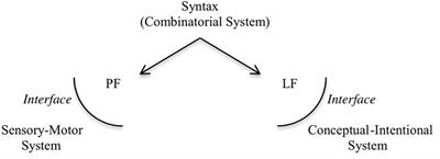 On the representation of hierarchical structure: Revisiting Darwin’s musical protolanguage